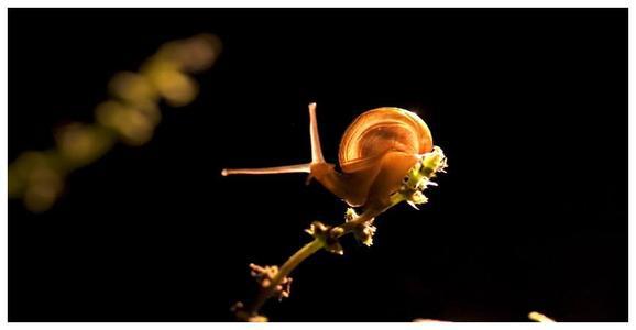 另一种是出于旅途旅行