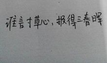 赞美母爱的比喻句