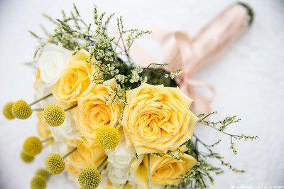 无趣的生活每天单调重复