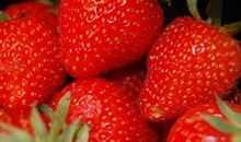 吃草莓开心的句子