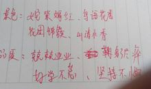 表示风景优美的词语