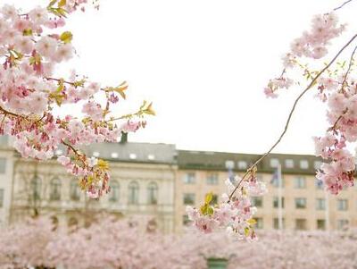它会无意间被遗忘