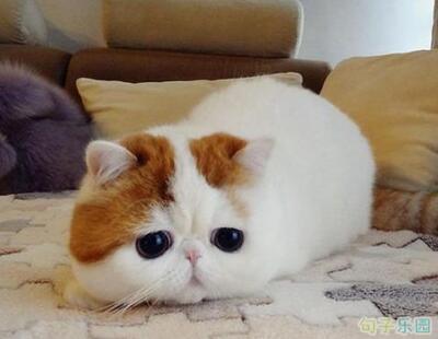 一名在自动取款机上取款400元的市民吐出了4000元