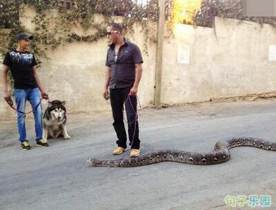 银行要求公众归还这笔钱