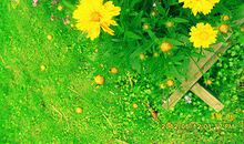 又头痛又心烦类似的句子6