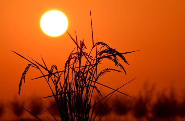 我也有很多的快乐和烦恼