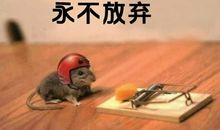 不放弃的名人名言