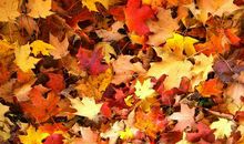 心烦躁不安的句子