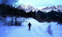 描写冬天的树唯美句子