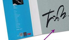 大冰书中经典语句