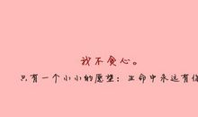 优美爱情诗句大全