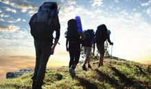 关于运动强身健体的名言