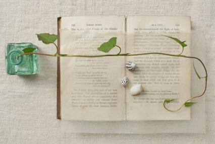 毒草打开了迷人的花朵