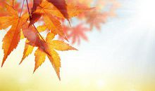 做一件事无法完成的心烦句子