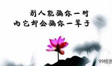 感悟人生哲理的格言