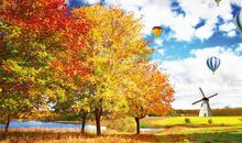 天气冷养生短信问候