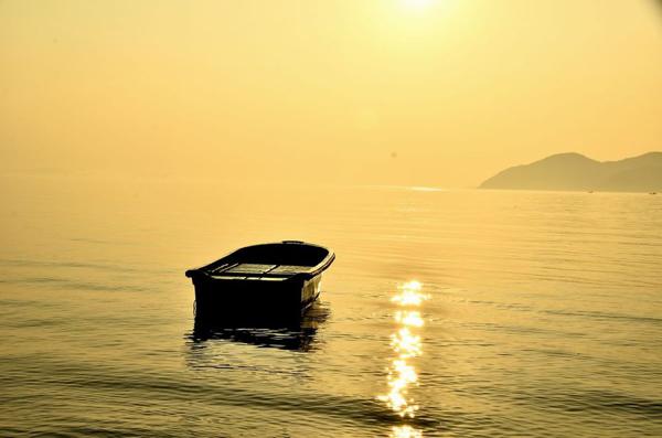 即使他伤害了您