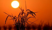 人生大道理 心烦的句子