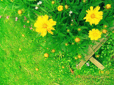 要笑的时候要笑