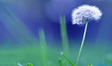 有关失望的句子