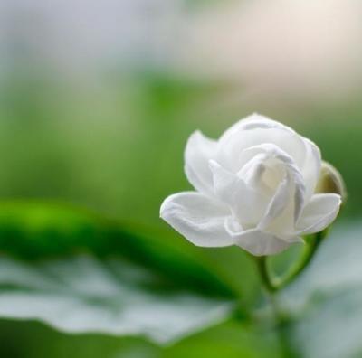 这是小编为大家准备的生病和不高兴的句子