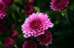 我不知道汹涌的岁月和河流已经冲走了多远