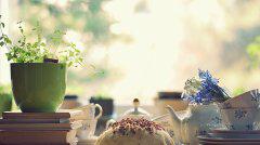 在黑暗中融化了