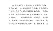 描写夏天的优美段落