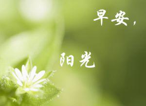 来挑选一个朋友圈子