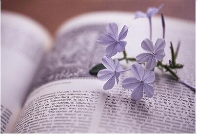 寂寞的人说话不多