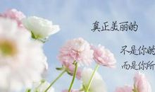 描写花的优美语句