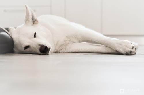 一小部分来自比较