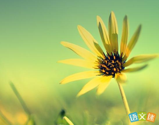 感恩是一种生活哲学