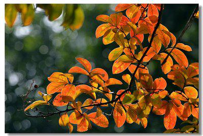 一切都是一种工作环境