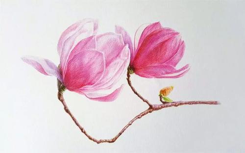 编辑编辑了一些有关快乐的描述的句子