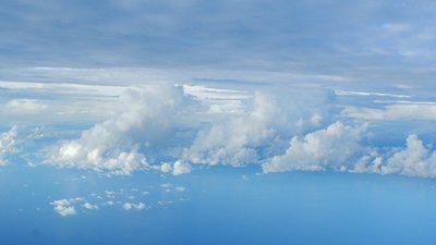 让莲root浸透荷塘