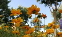 拍照留住美好的瞬间的说说