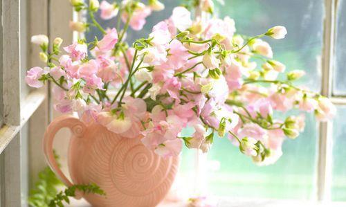 可以鼓励人们发挥潜能并实现出色的成功理念