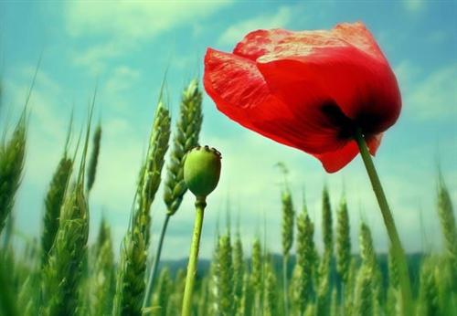 失去最多的人喜欢听