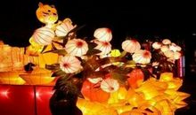 新年祝福语发送领导