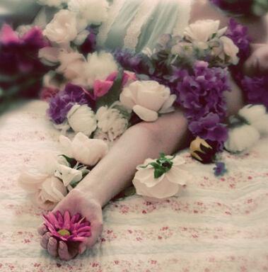 你是我期望和矛盾的梦想