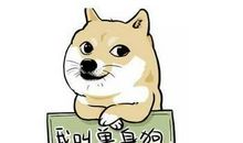 单身狗语录经典句子