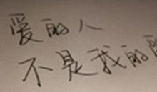 表达自己是单身的句子