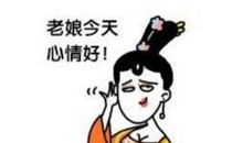 今天心情很好的说说