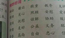 两字好词摘抄大全