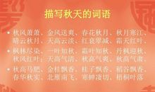 描写花的词语和句子