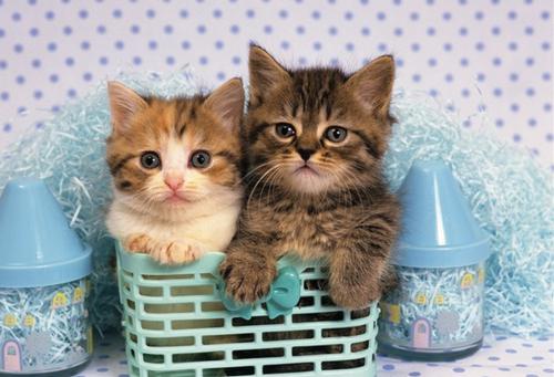 而是要让人被女孩打动  2