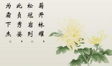 描写菊花诗句