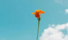 充满正能量的句子