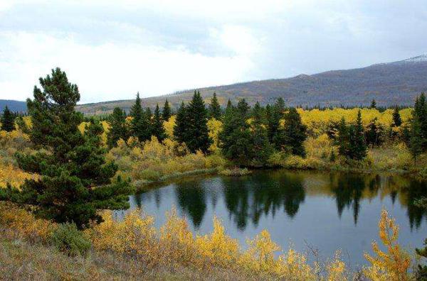 但它可以带给心灵温暖